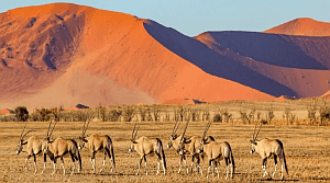 namibia-wuestensteppe